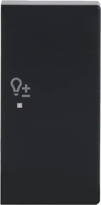 Busch-Jaeger Wippe 2-fach rechts mit Symbol "Dimmer", anthrazit