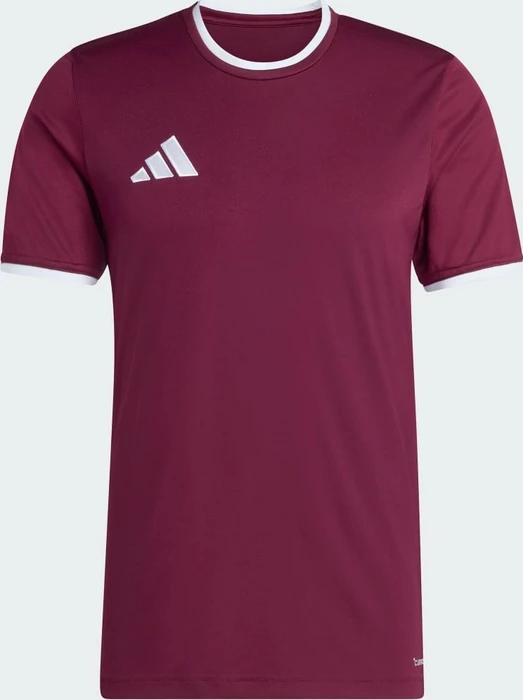 adidas Entrada 26 Trikot kurzarm team maroon 2/white (Herren)