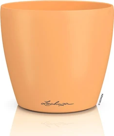 Lechuza Classico Color Deco 14 papaya