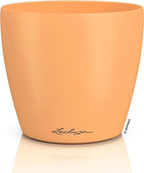Lechuza Classico Color Deco 14