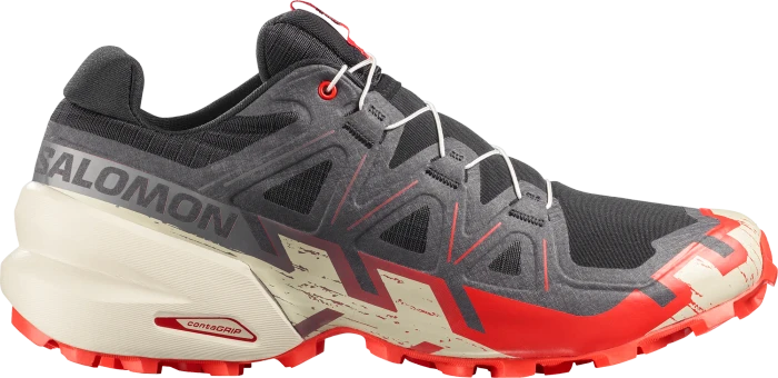 Salomon XA Pro 3D V9 dark gull gray/cloudburst/asphalt (Herren)