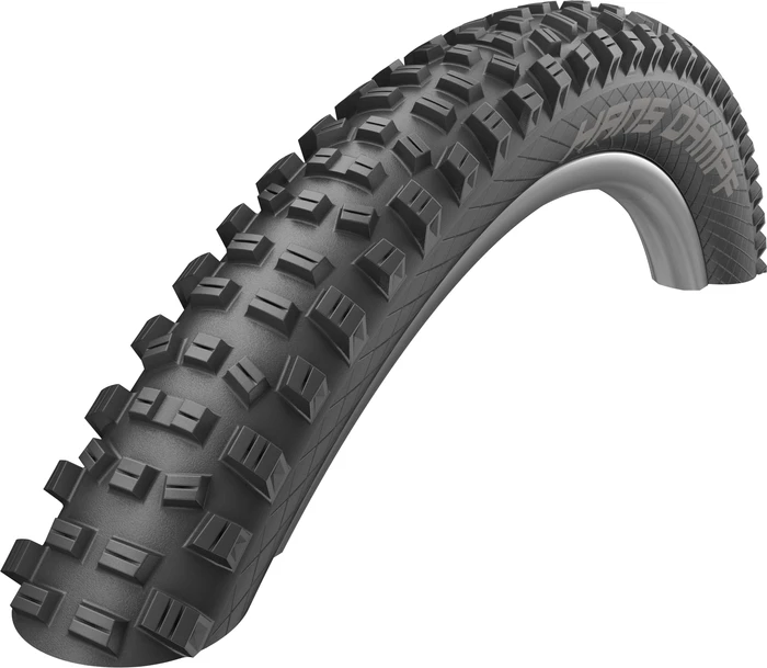 Schwalbe Hans Dampf Reifen
