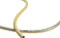 Rehau Quattroflex plus+ Gartenschlauch 1/2" Vorschaubild