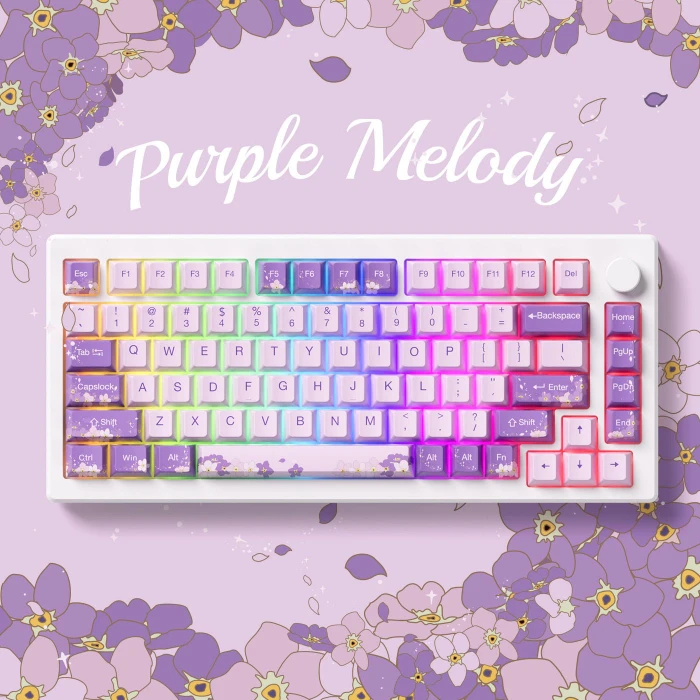 Akko MOD 007 HE, Purple Melody, LEDs RGB, hot-swap, Cream Yellow Magnetic, USB/Bluetooth, US