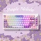 Akko MOD 007 HE, Purple Melody, LEDs RGB, hot-swap, Cream Yellow Magnetic, USB/Bluetooth, US Vorschaubild