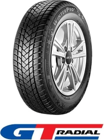 GT Radial Winterpro 2 205/55 R16 91T