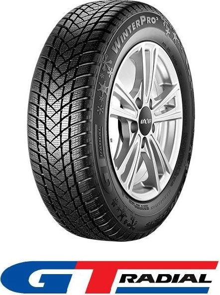 GT Radial Winterpro 2 205/55 R16 91T