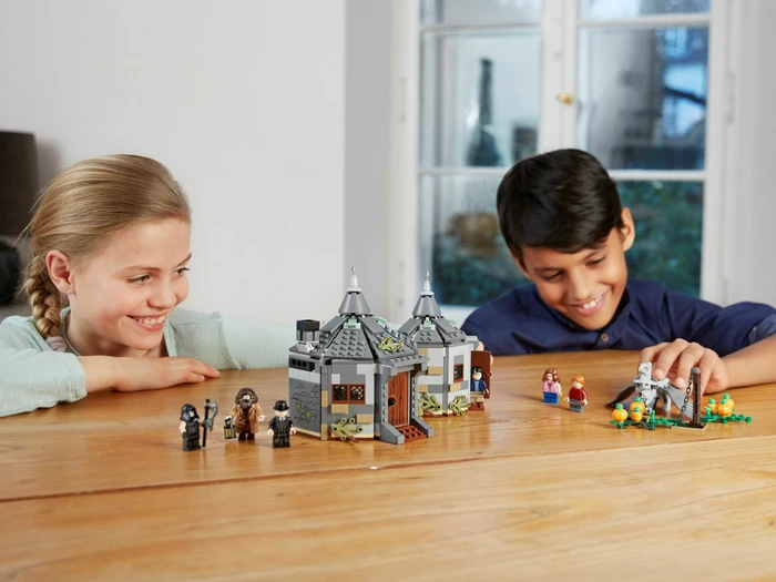 LEGO Harry Potter - Hagrids Hütte Seidenschnabels Rettung