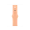 Apple Sportarmband Regular für Apple Watch 40mm cantaloupe Vorschaubild