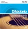 D'Addario Phosphor Bronze 12-String Light Vorschaubild