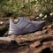 adidas Terrex Soulstride preloved fig/grey one/burgundy (Damen) Vorschaubild