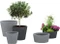 Scheurich C-Cone Blumentopf Vorschaubild