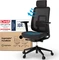 Ergotopia PureBack ergonomischer Bürostuhl mit Kopfstütze, schwarz Vorschaubild