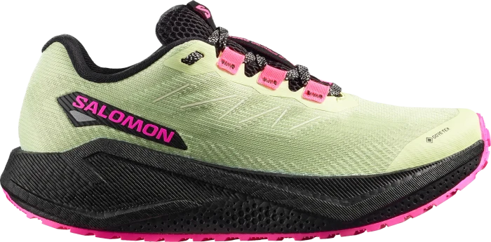 Salomon Aero Glide 3 GRVL GTX black/asphalt (Damen)