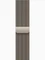 Apple Watch Series 12 (GPS + Cellular) 42mm Titan natur mit Milanaise-Armband natur Vorschaubild