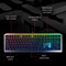 Cherry MV 3.0, LEDs RGB, grau/schwarz, Cherry VIOLA, USB, EU Vorschaubild