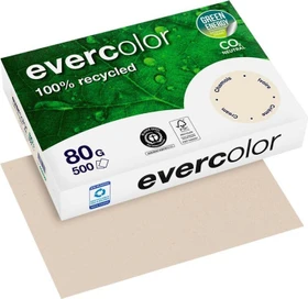 Clairefontaine evercolor Universalpapier matt chamois, A4, 80g/m², 500 Blatt