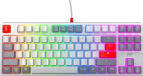 Cherry Xtrfy K4V2 TKL, Retro, grau, LEDs RGB, MX2A RGB RED, USB, US