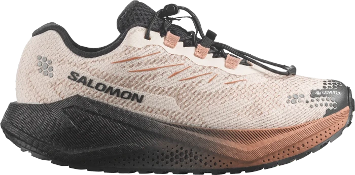 Salomon Aero Blaze 4 Grvl GTX vanilla ice/black/burro (Damen)