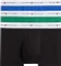 Tommy Hilfiger Trunks mit Signature-Logo 3er-Pack Boxer Briefs (Herren) Vorschaubild