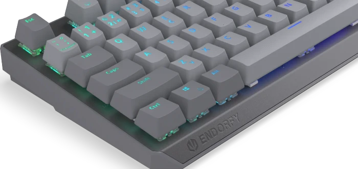 Endorfy Thock V2, PBT, grau, LEDs RGB, hot-swap, Endorfy RED, USB, CZ/SK