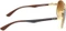 Ray-Ban RB8313 61mm gold/hellbraun Vorschaubild