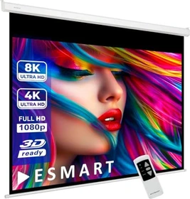 eSmart Professional MIMOTO Motor Leinwand 4:3 305x229cm