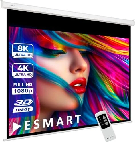 eSmart Professional MIMOTO Motor Leinwand 4:3 305x229cm