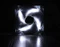 BitFenix Spectre LED schwarz/weiß, 140mm Vorschaubild