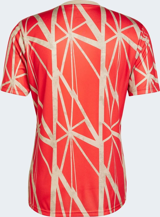 adidas FC Bayern München 2024/2025 Aufwärmshirt (Herren)