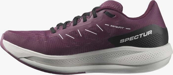 Salomon Spectur tulipwood/lunar rock/grape wine (Damen)