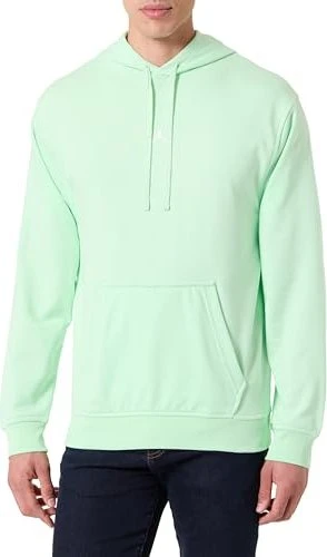 Nike Jordan Sport Crossover Dri-FIT Hoodie vapour green/white (Herren)