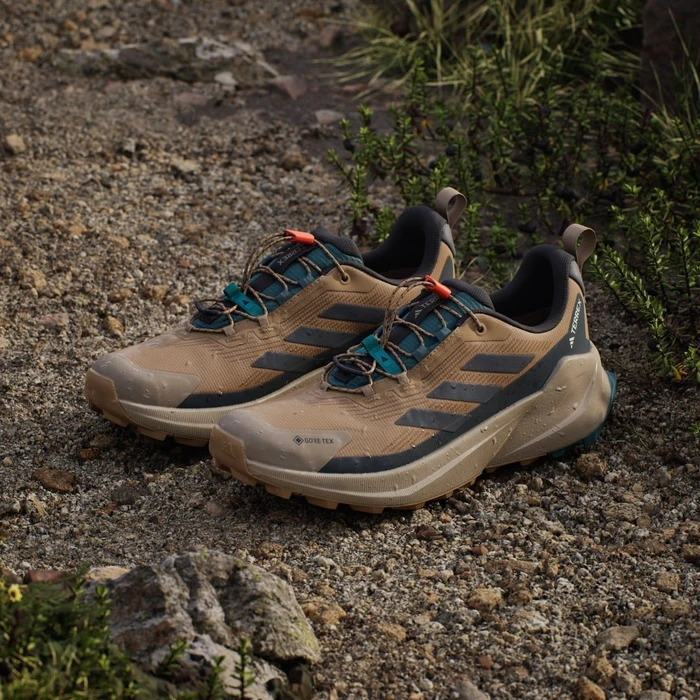 adidas Terrex Trailmaker 2 GTX Speed Lace cardboard/grey five/carbon (Herren)