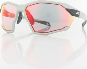 Alpina Twist Six QV smoke quattro/varioflex rainbow