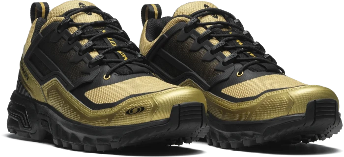Salomon ACS + FT