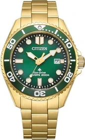Citizen Promaster BN0262-59W