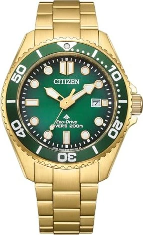 Citizen Promaster BN0262-59W