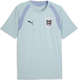 Puma Österreich Trainingstrikot kurzarm mint (Herren)