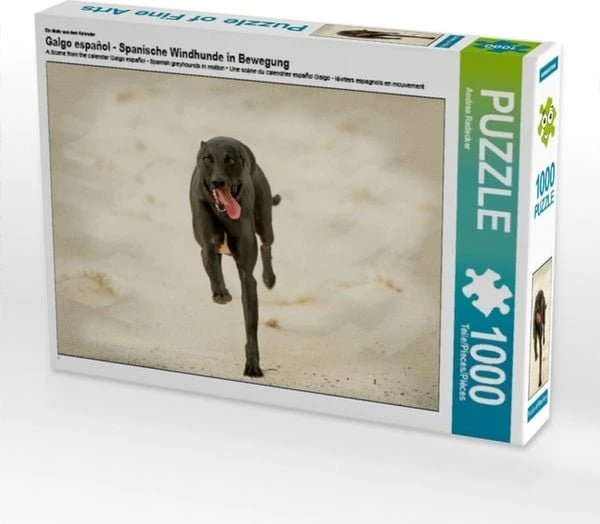 Calvendo Ein Motiv aus dem Kalender Galgo español - Spanische Windhunde in Bewegung