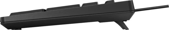 HP 125 G2 kabelgebundene Tastatur, schwarz, mit Copilot-Taste, USB, RO