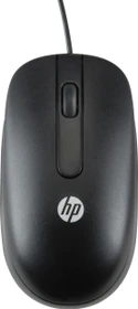 HP Optische Scroll-Maus, schwarz, 100er-Pack, USB (QY777A6)