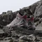 adidas Terrex Skychaser Mid GTX burgundy/preloved fig/grey two (Damen) Vorschaubild