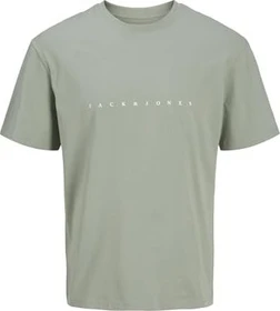 Jack & Jones Logo T-Shirt kurzarm iceberg green (Herren)
