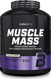 BioTech USA Muscle Mass Erdbeere 4kg