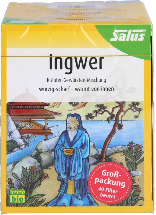 Salus Ingwer Kräuter-Gewürztee Beutel, 40 Stück