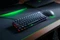 Razer Huntsman Mini, Black, Razer Linear Optical RED, USB, FR Vorschaubild