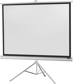 Celexon Stativleinwand Economy White Edition 244x183cm
