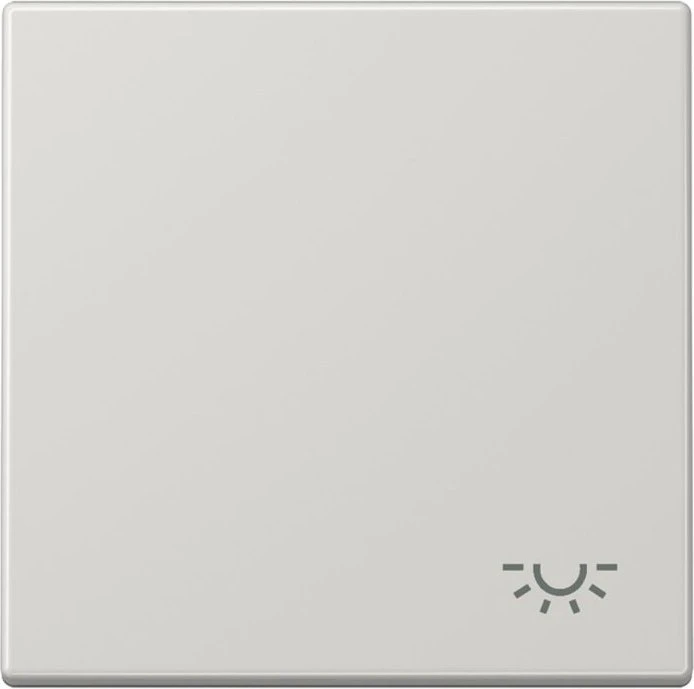 Jung Serie LS Wippe Symbol Licht, lichtgrau
