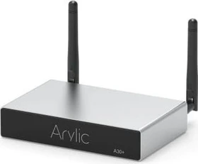 Arylic A30+