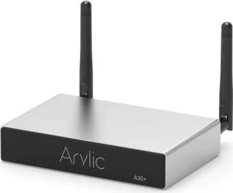 Arylic A30+
